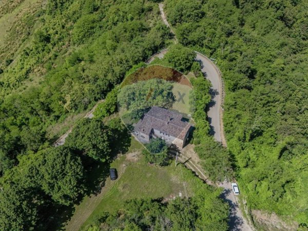 immagine annuncio 0 di 15