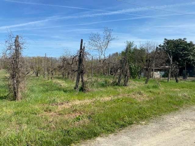 appartamento in vendita a Forlì in zona Cava