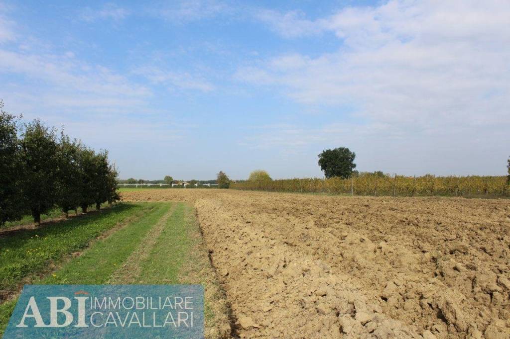 terreno agricolo in vendita a Forlì in zona Villanova