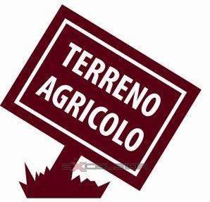 terreno agricolo in vendita a Forlì in zona San Benedetto