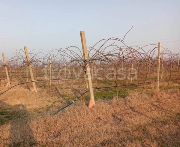 azienda agricola in vendita a Forlì in zona Pievequinta