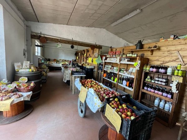 terreno agricolo in vendita a Forlì