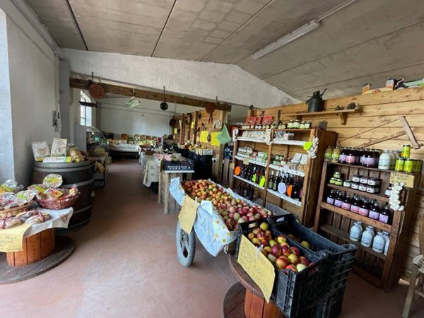 locale commerciale in vendita a Forlì in zona Coriano