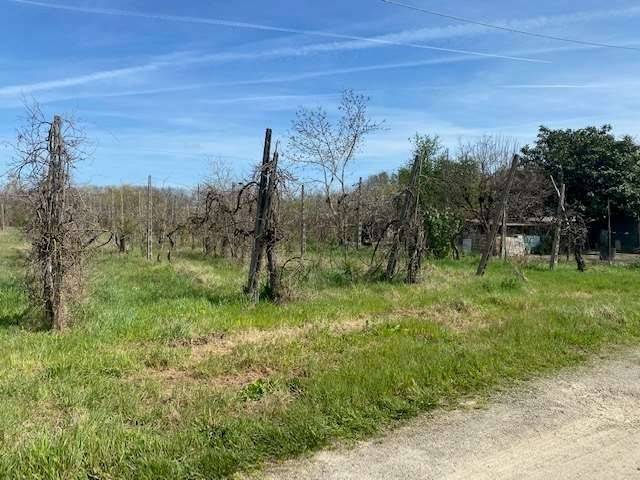 terreno agricolo in vendita a Forlì in zona Cava