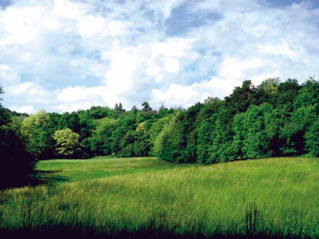 terreno agricolo in vendita a Forlì