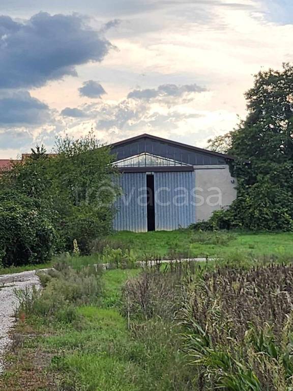 terreno agricolo in vendita a Forlì in zona Grisignano