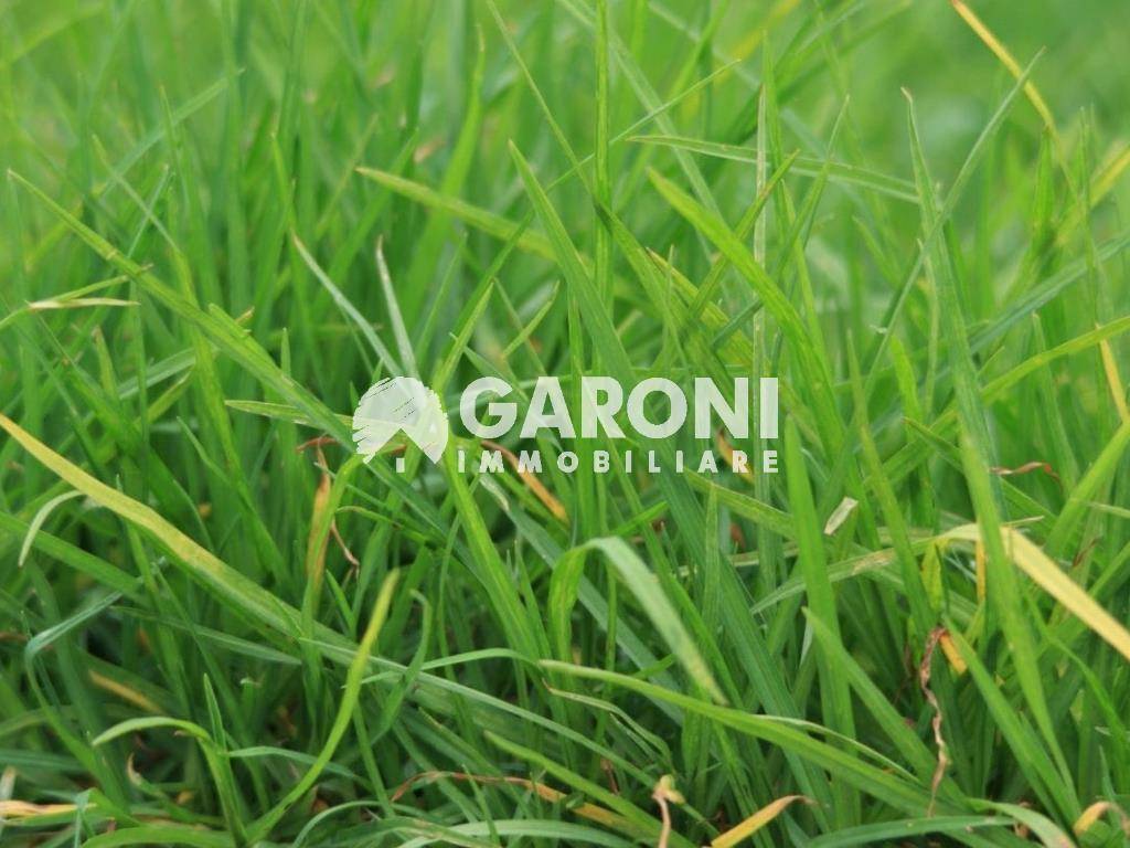 terreno agricolo in vendita a Forlì in zona Roncadello