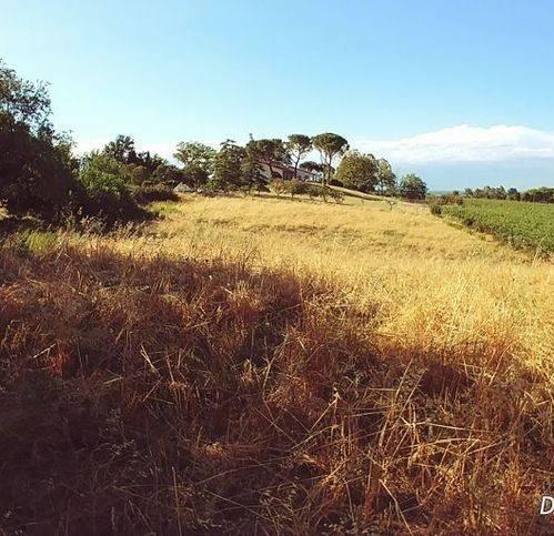terreno agricolo in vendita a Forlì in zona Centro Storico