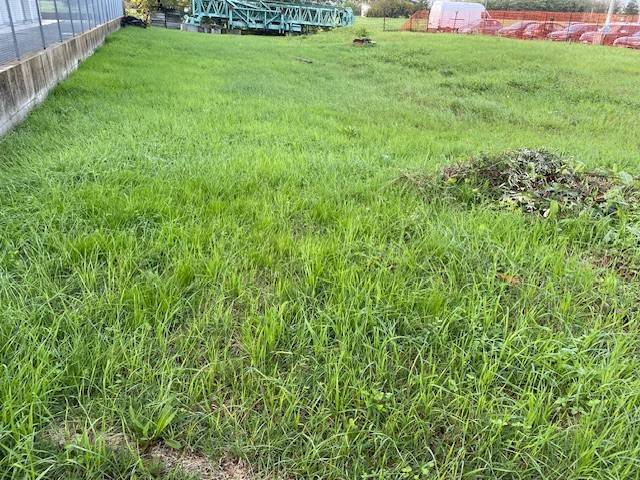 terreno edificabile in vendita a Forlì in zona Ronco