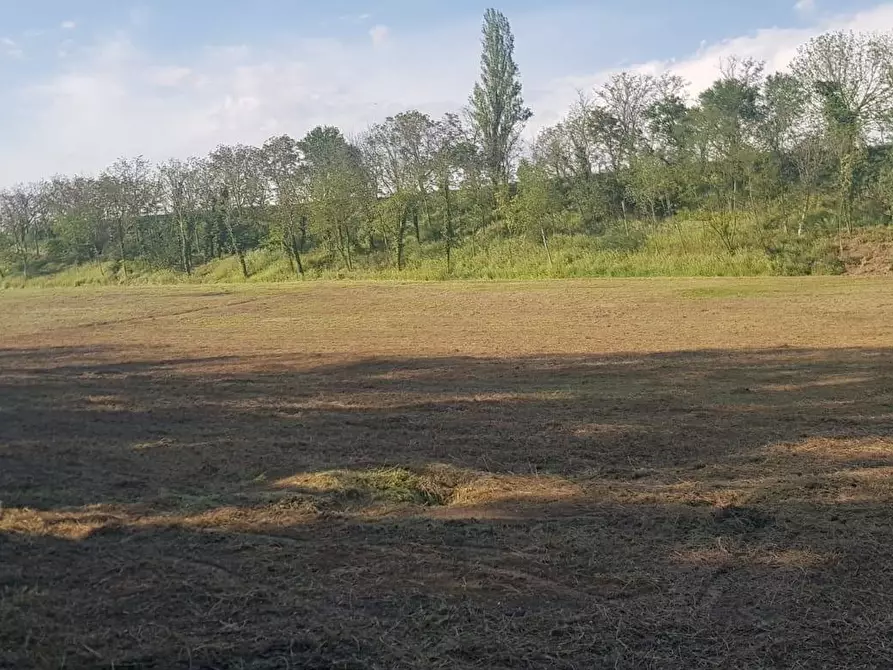 negozio in vendita a Forlì in zona Magliano