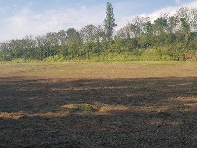 negozio in vendita a Forlì