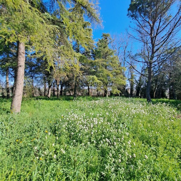 casa indipendente in vendita a Forlì in zona Vecchiazzano