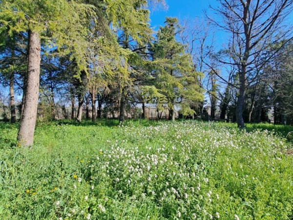 casa indipendente in vendita a Forlì in zona Vecchiazzano