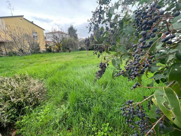 negozio in vendita a Forlì in zona Cava