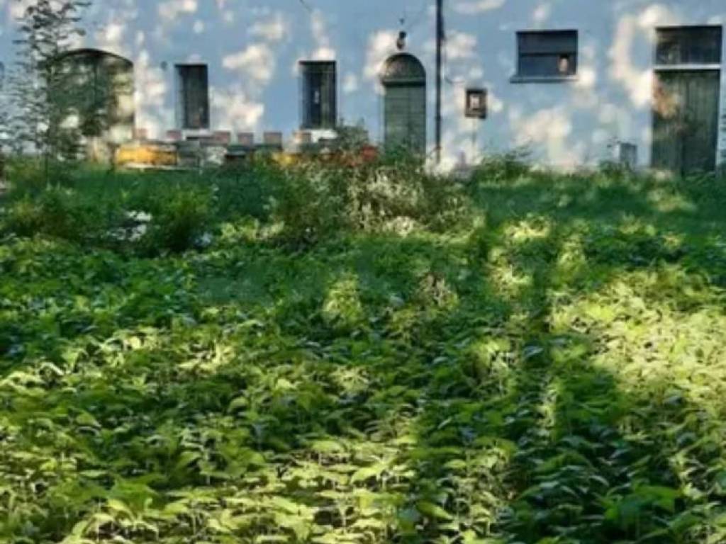 casa indipendente in vendita a Forlì in zona Centro Storico