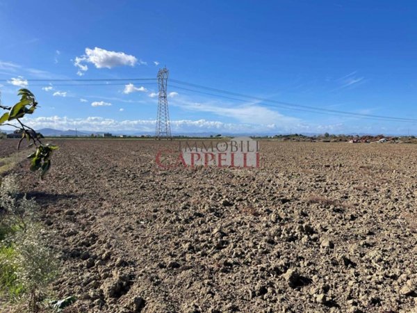 terreno agricolo in vendita a Forlì in zona Casemurate