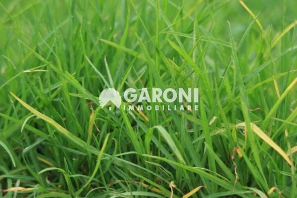 terreno agricolo in vendita a Forlì