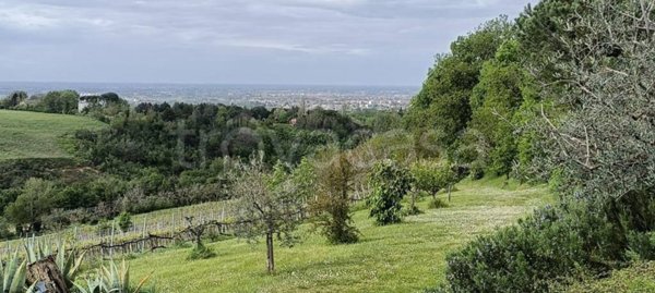 casa indipendente in vendita a Forlì in zona Grisignano