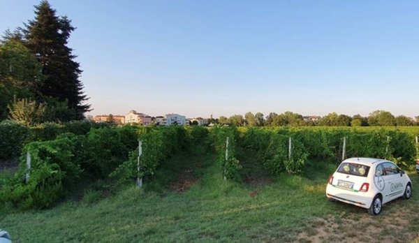 terreno agricolo in vendita a Forlì in zona Vecchiazzano