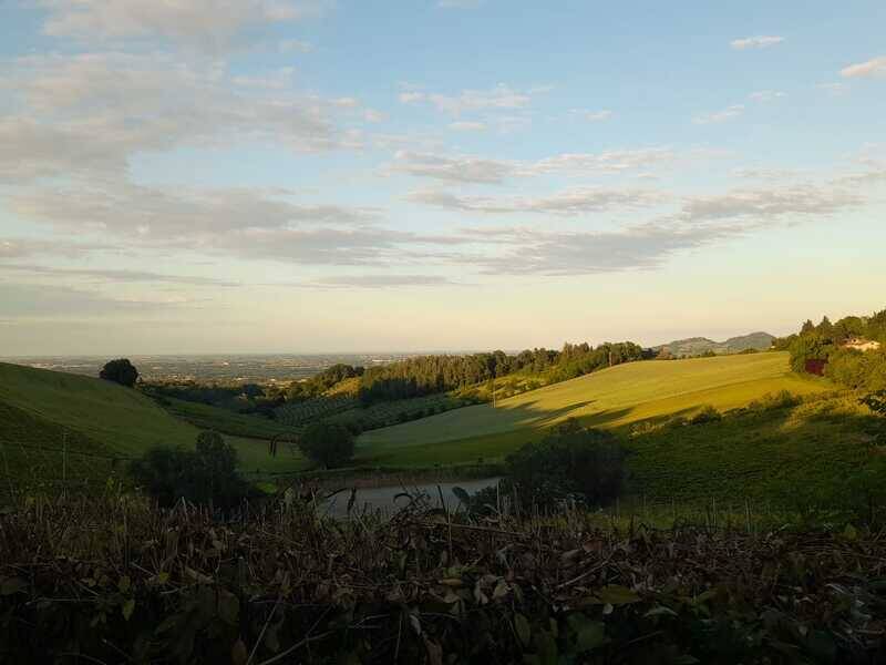 azienda agricola in vendita a Forlì