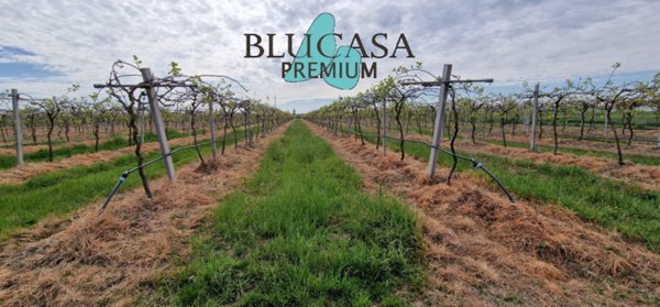 mansarda in vendita a Forlì in zona Casemurate