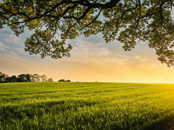 terreno agricolo in vendita a Forlì in zona Vecchiazzano