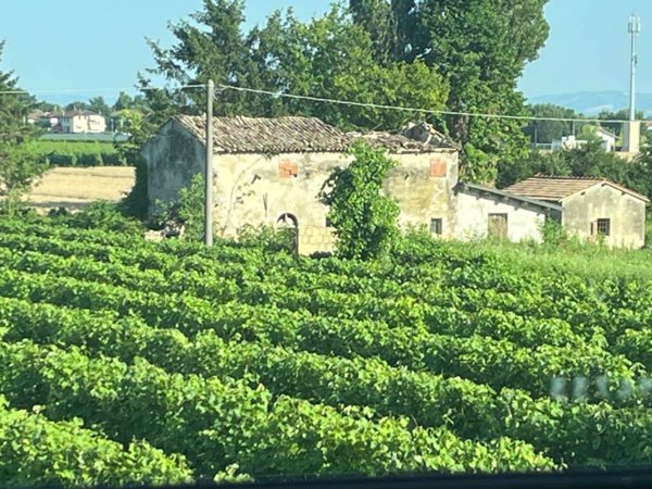 casa indipendente in vendita a Forlì