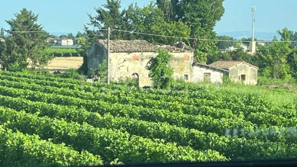 casa indipendente in vendita a Forlì in zona Roncadello