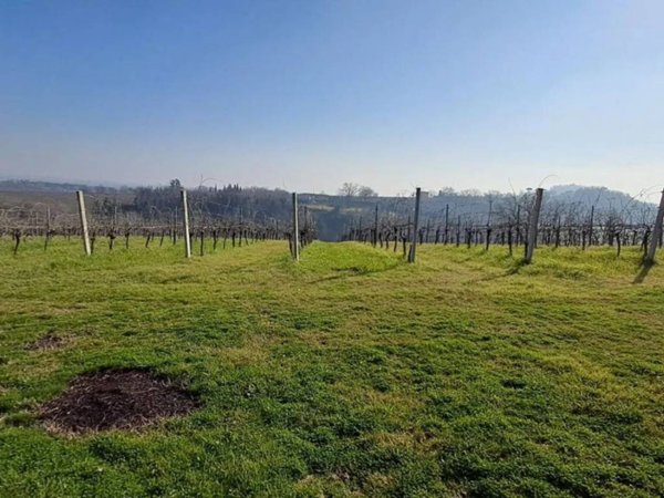 terreno agricolo in vendita a Forlì in zona Villagrappa
