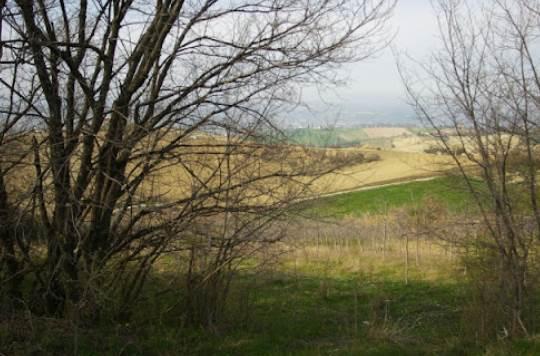 terreno agricolo in vendita a Forlì