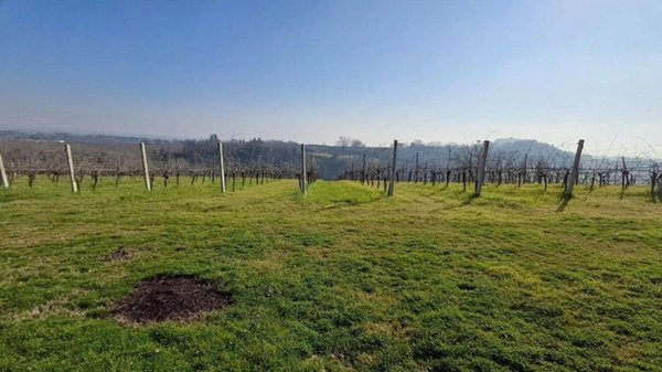 terreno agricolo in vendita a Forlì in zona Villagrappa