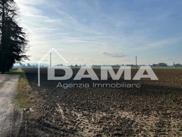 terreno agricolo in vendita a Forlì in zona Bussecchio