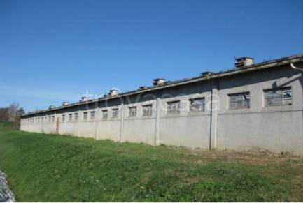 appartamento in vendita a Forlì in zona Villagrappa