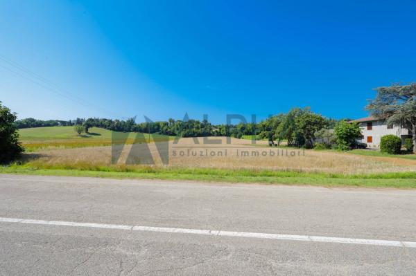 terreno edificabile in vendita a Forlì in zona Grisignano
