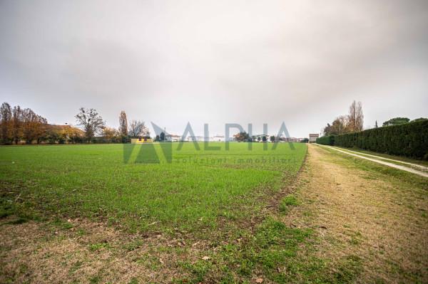 terreno agricolo in vendita a Forlì