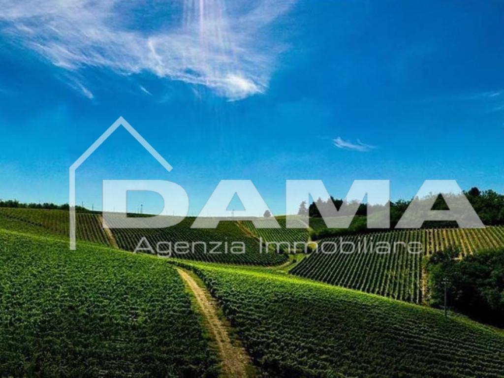 terreno agricolo in vendita a Forlì