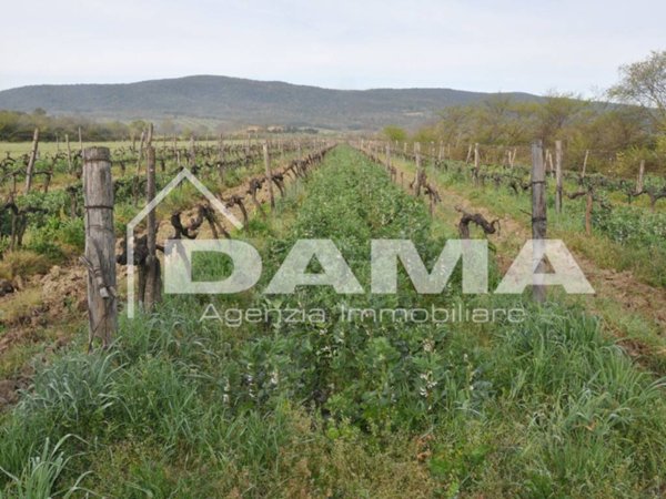 terreno agricolo in vendita a Forlì in zona Villagrappa