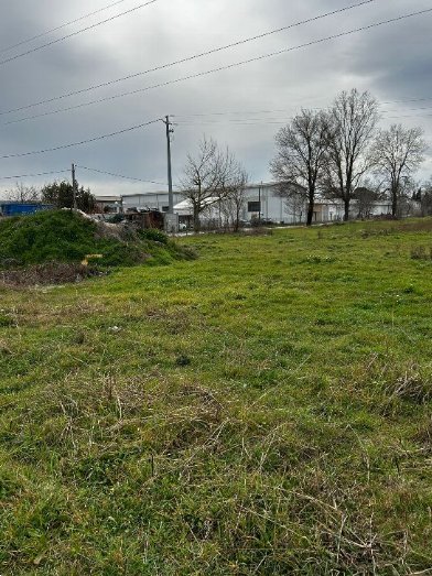 terreno agricolo in vendita a Forlì
