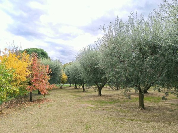 casa indipendente in vendita a Forlì in zona Vecchiazzano