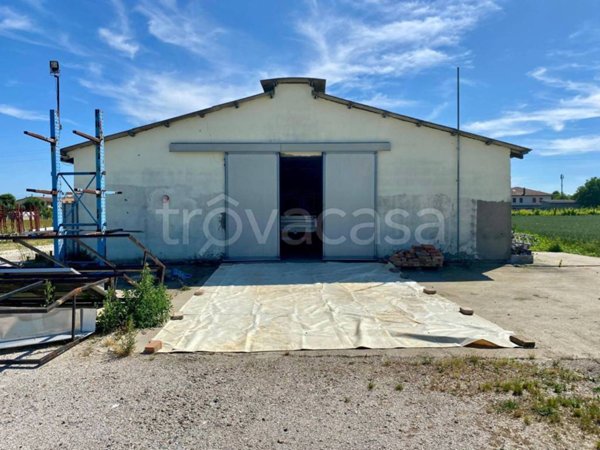 negozio in vendita a Forlì in zona Carpena