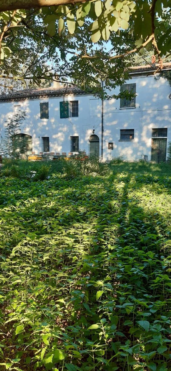 appartamento in vendita a Forlì in zona Centro Storico