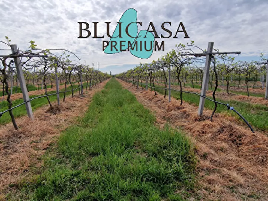 mansarda in vendita a Forlì in zona Casemurate