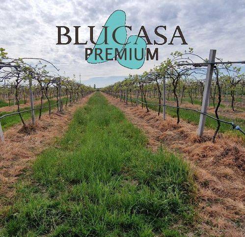 casa indipendente in vendita a Forlì in zona Casemurate