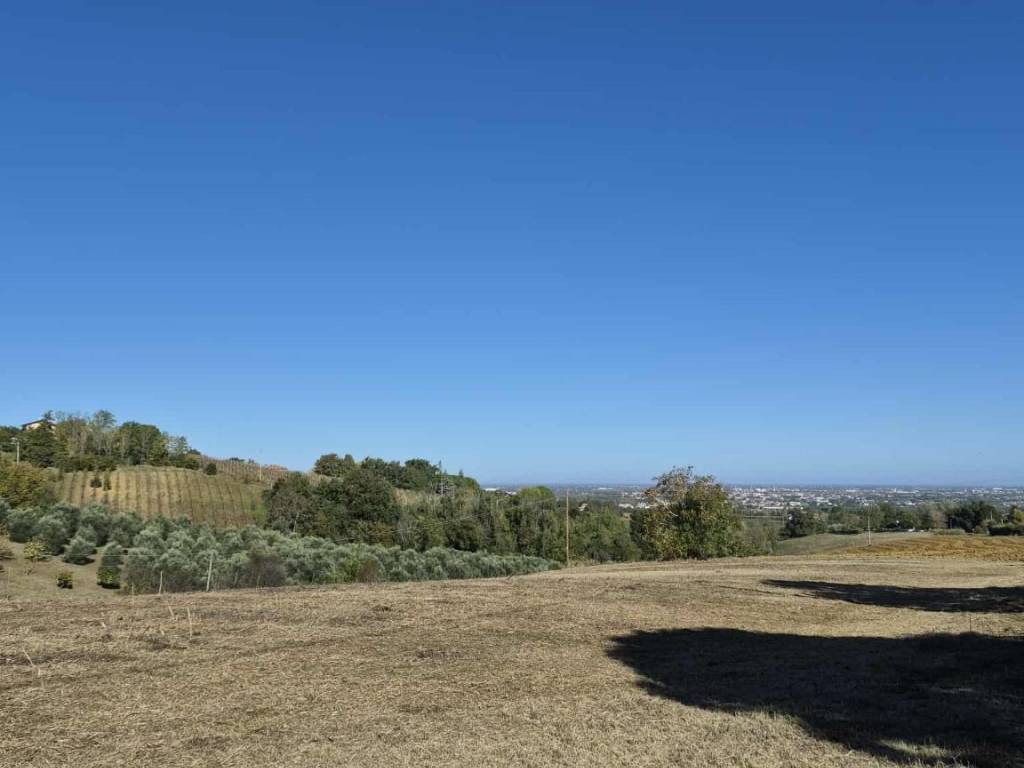 terreno agricolo in vendita a Forlì in zona Carpena