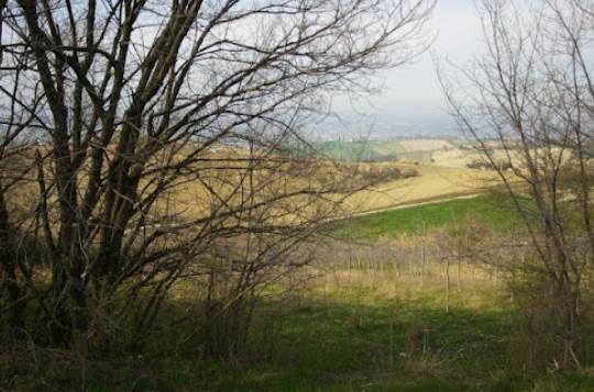 terreno agricolo in vendita a Forlì