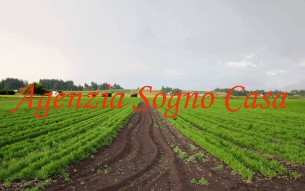 casa indipendente in vendita a Forlì in zona Coriano