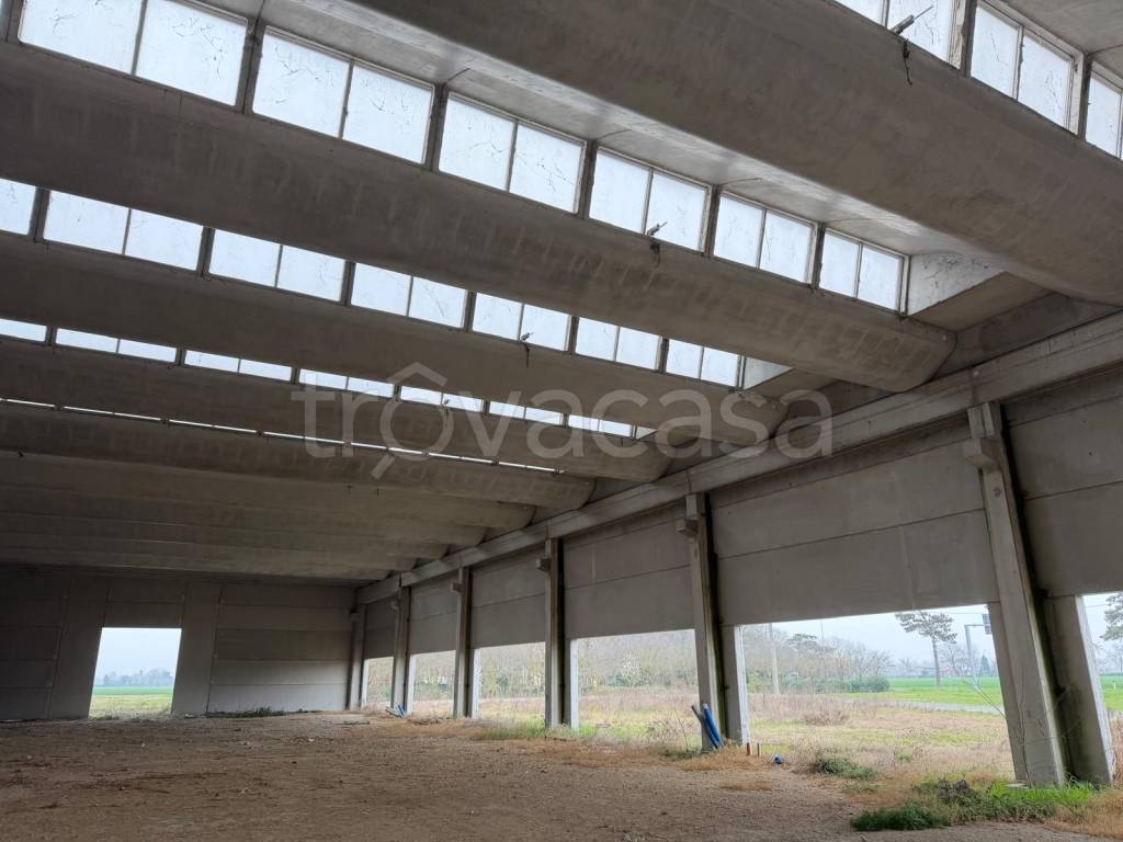 locale commerciale in vendita a Forlì in zona Centro Storico