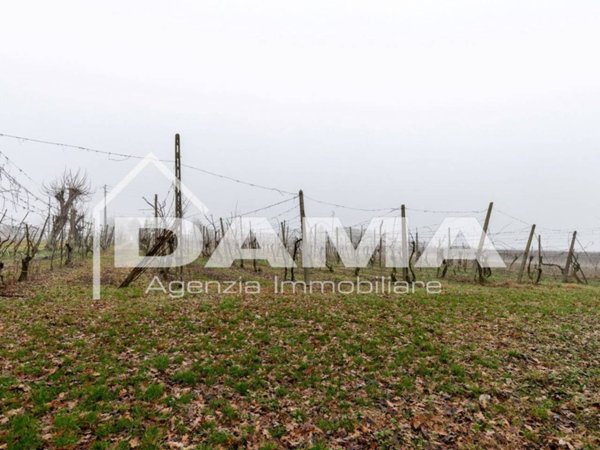 terreno agricolo in vendita a Forlì in zona Barisano