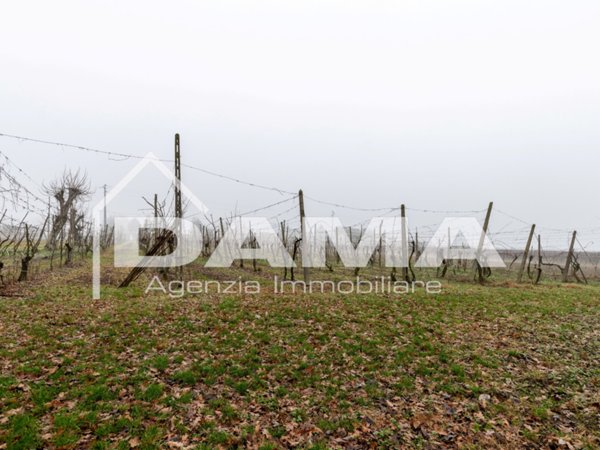 terreno agricolo in vendita a Forlì in zona Barisano