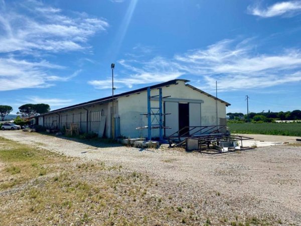 negozio in vendita a Forlì in zona San Martino in Strada